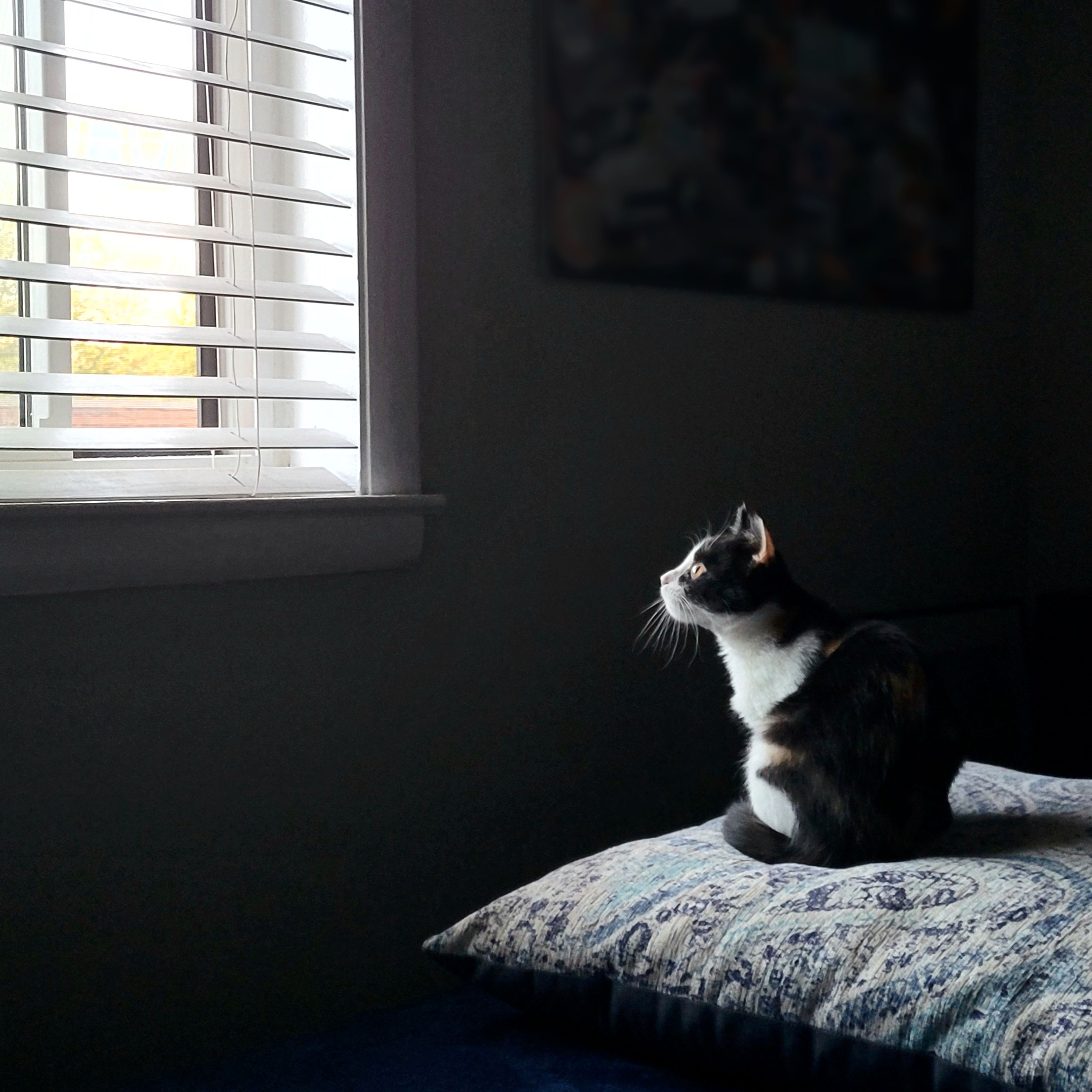 Undercover Vol.1 Artwork